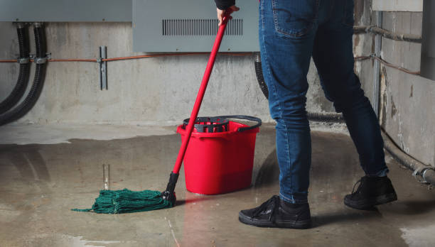 Best Local water damage restoration  in Oak Grove, OR