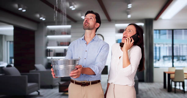 Best Water damage contractors near me  in Oak Grove, OR